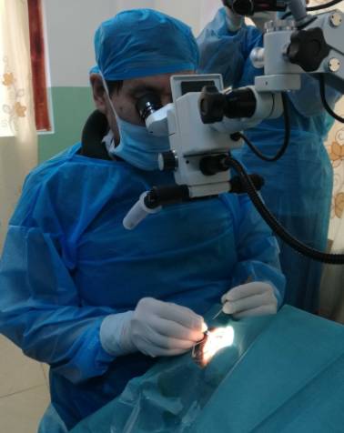 2017年8月1日，霍鸣教授正式受聘为宜昌新利体育院长