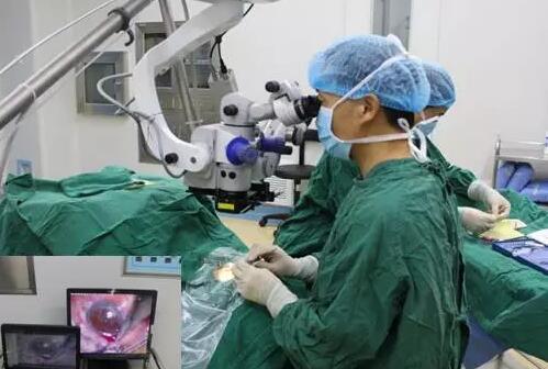 10月24日,成都新利体育CO2激光辅助深层巩膜切除术培训会圆满落幕。本次培训会由成都新利体育青光眼科主任、副主任医师胡建旗医生用猪眼为参会人员演示了CLASS手术全过程,并指导学员进行了实际操作,学员们纷纷表示手术操作简单易懂易学,.jpg 10月24日,成都新利体育CO2激光辅助深层巩膜切除术培训会圆满落幕。本次培训会由成都新利体育青光眼科主任、副主任医师胡建旗医生用猪眼为参会人员演示了CLASS手术全过程,并指导学员进行了实际操作,学员们纷纷表示手术操作简单易懂易学,.jpg