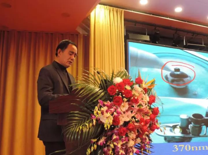 胡隆基教授精彩专题演讲.jpg 胡隆基教授精彩专题演讲.jpg