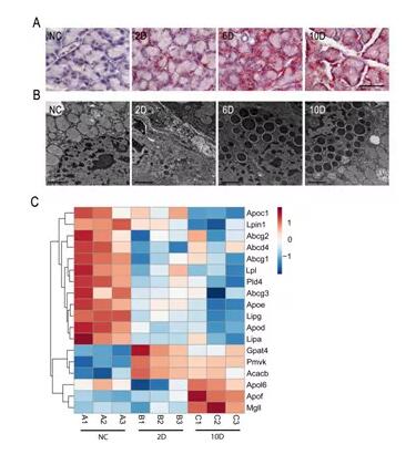 医治干眼症.jpg 医治干眼症.jpg