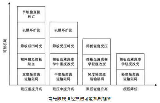新利体育学术课堂:眼颅压力梯度在青光眼视神经损伤机制中作用2.png 新利体育学术课堂:眼颅压力梯度在青光眼视神经损伤机制中作用2.png