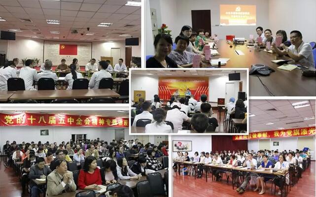 厦门市委组非公工委书记一行调研厦门眼科中心党建工作5.jpg 厦门市委组非公工委书记一行调研厦门眼科中心党建工作5.jpg