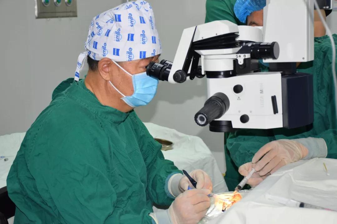 兰州燕振国院长 兰州燕振国院长